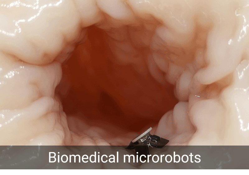 Biomedical microrobots