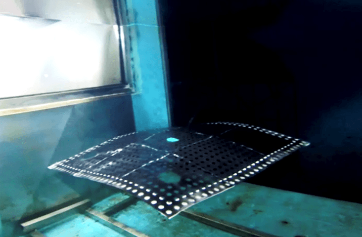 Underwater Swimming Carpet